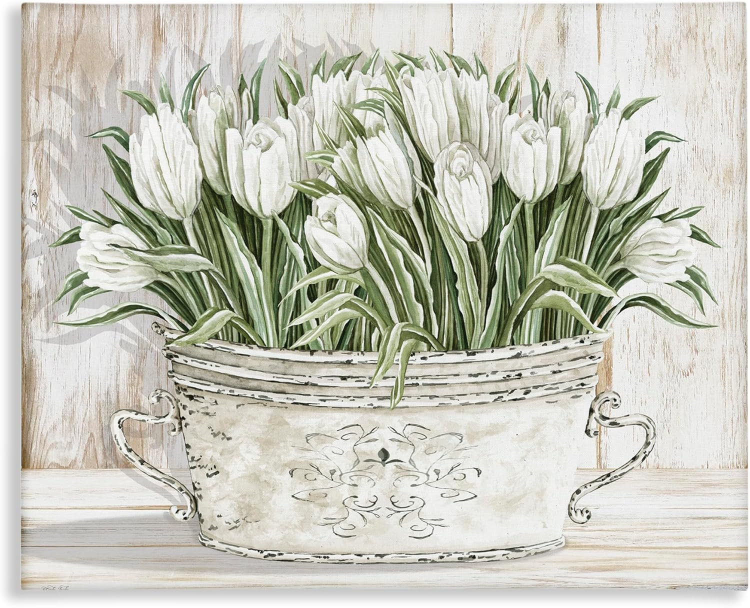 Fresh White Tulip Flowers Vintage, Designed by Cindy Jacobs, 20 X 16, Canvas Wal