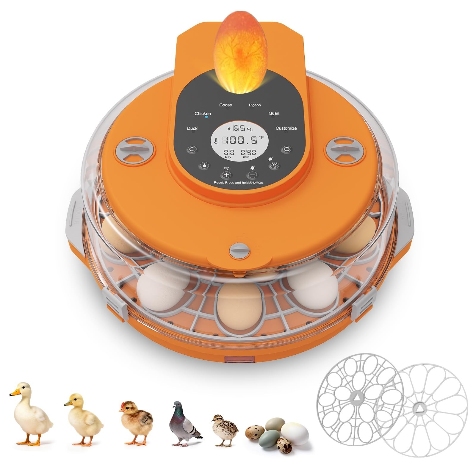 Incubators for Hatching Eggs,15 Egg Incubator with Automatic Egg Turner,Tempe...