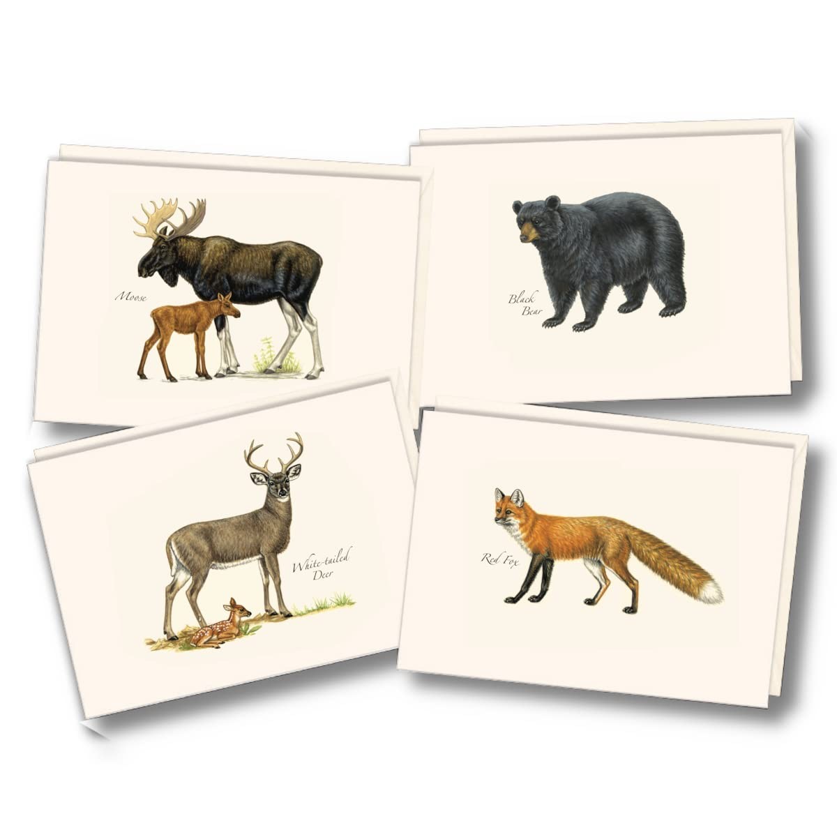 8 PCS Mammal Animal Assortment Notecard Set Blank Cards Envelopes Letter