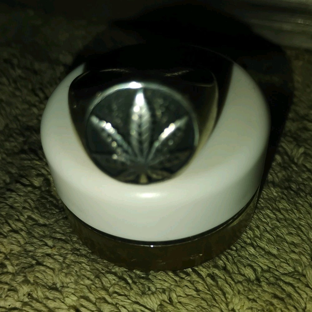 Silver Signet Ring with Leaf Design Plant Theme