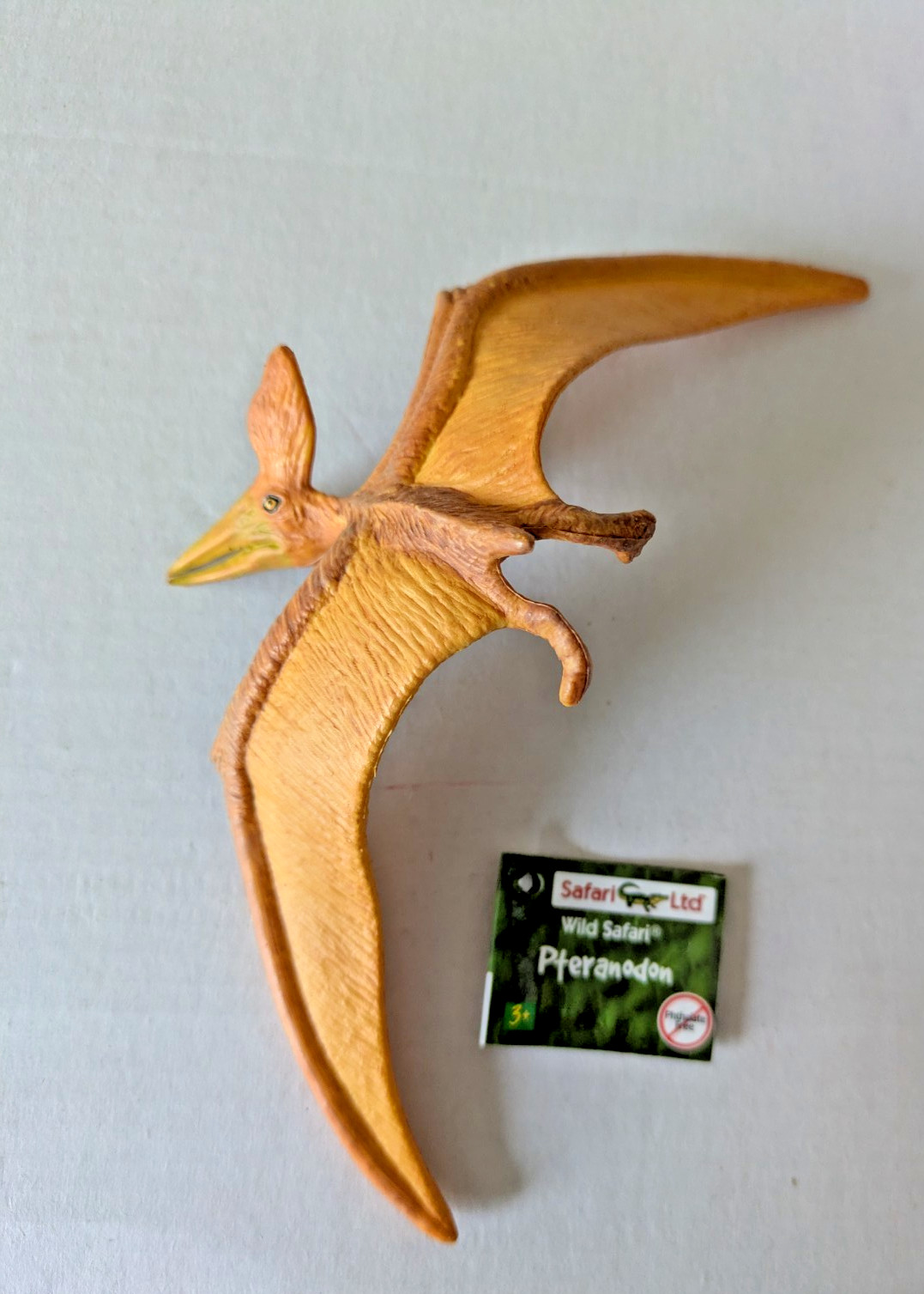 1999 Pteranodon Figure Toy Safari Ltd Dinosaur
