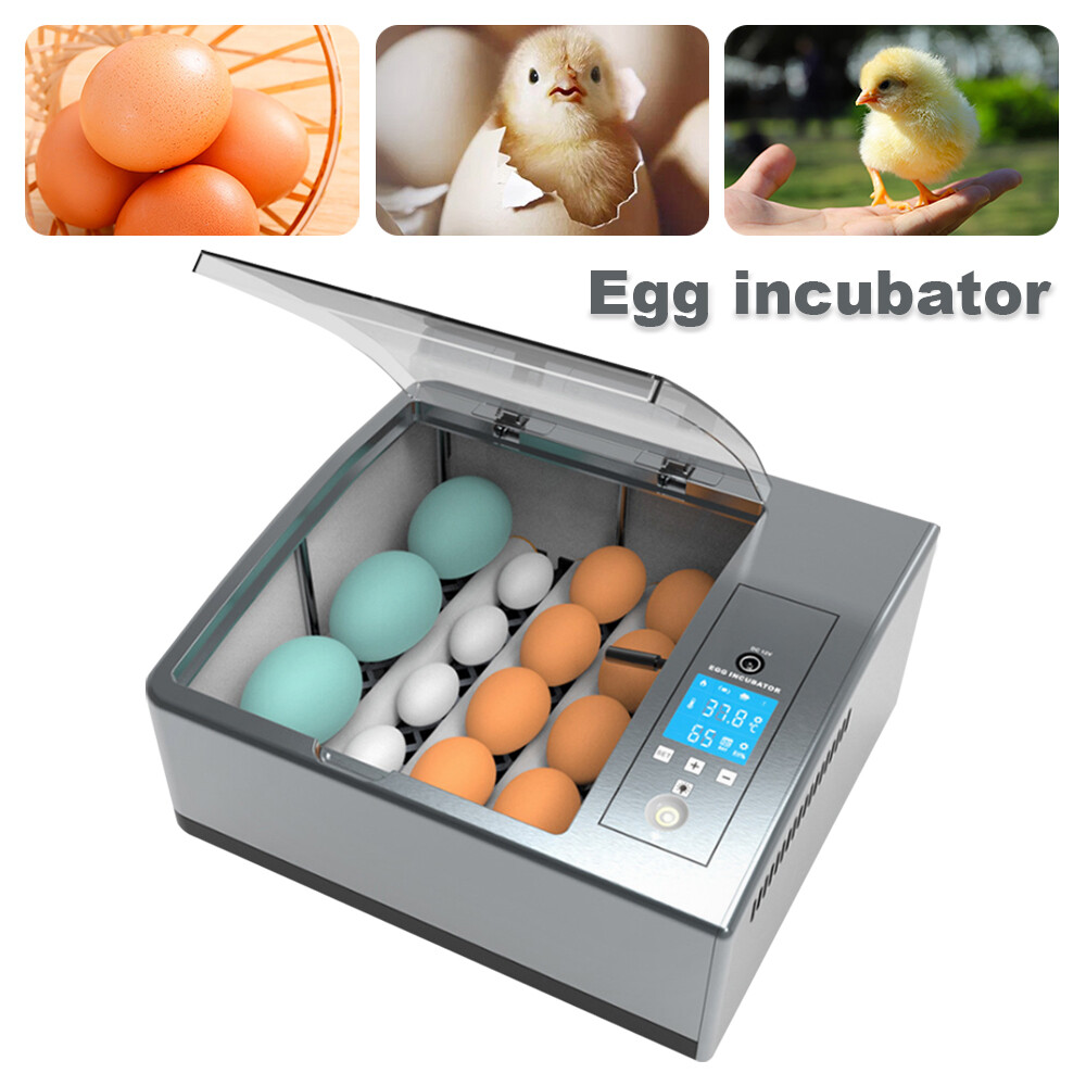 Egg Incubator Chicken Quail Hatcher Automatic Incubators for Hatching Eggs 35W