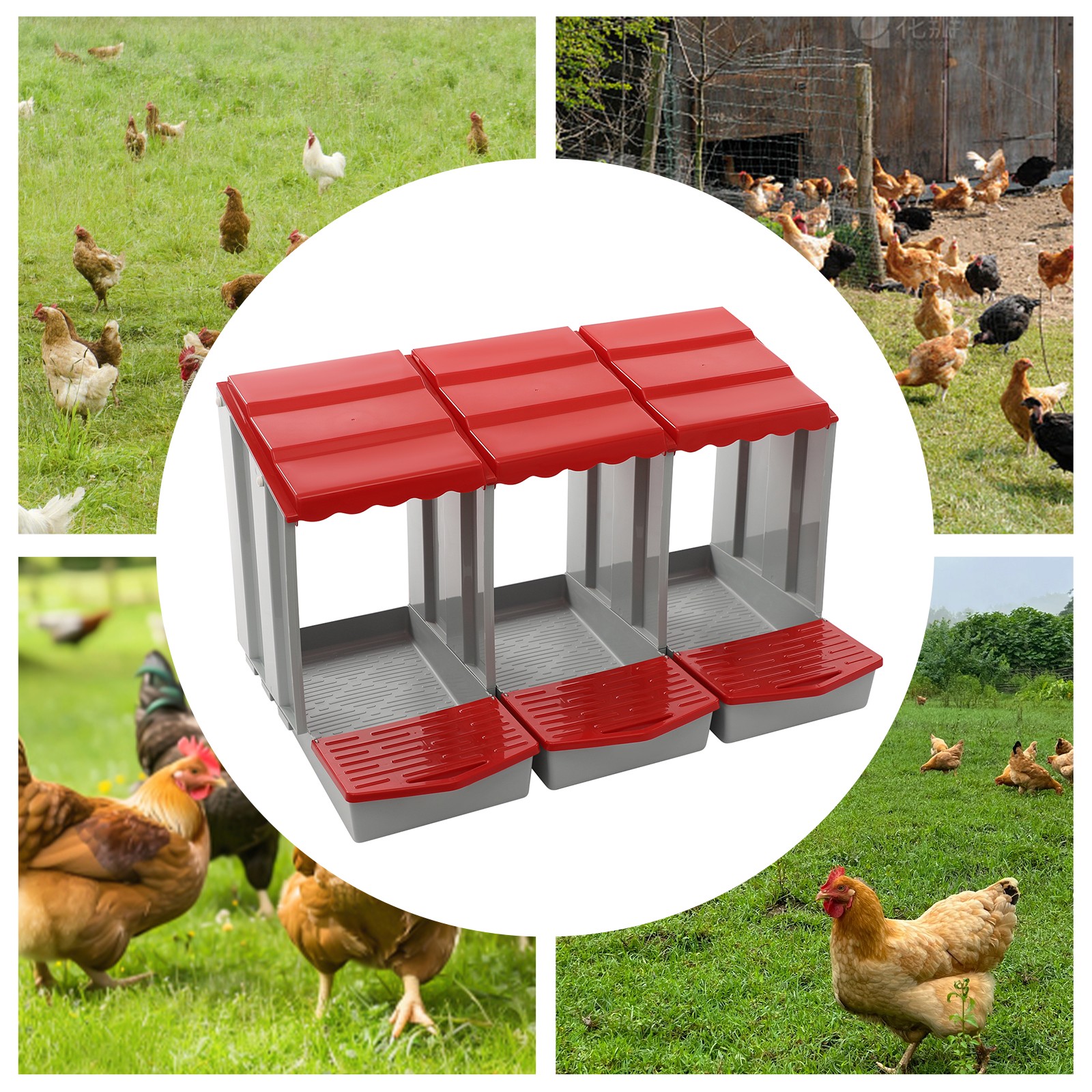 3-Compartment Chicken Nesting Box for Efficient Egg Laying and Easy Collection