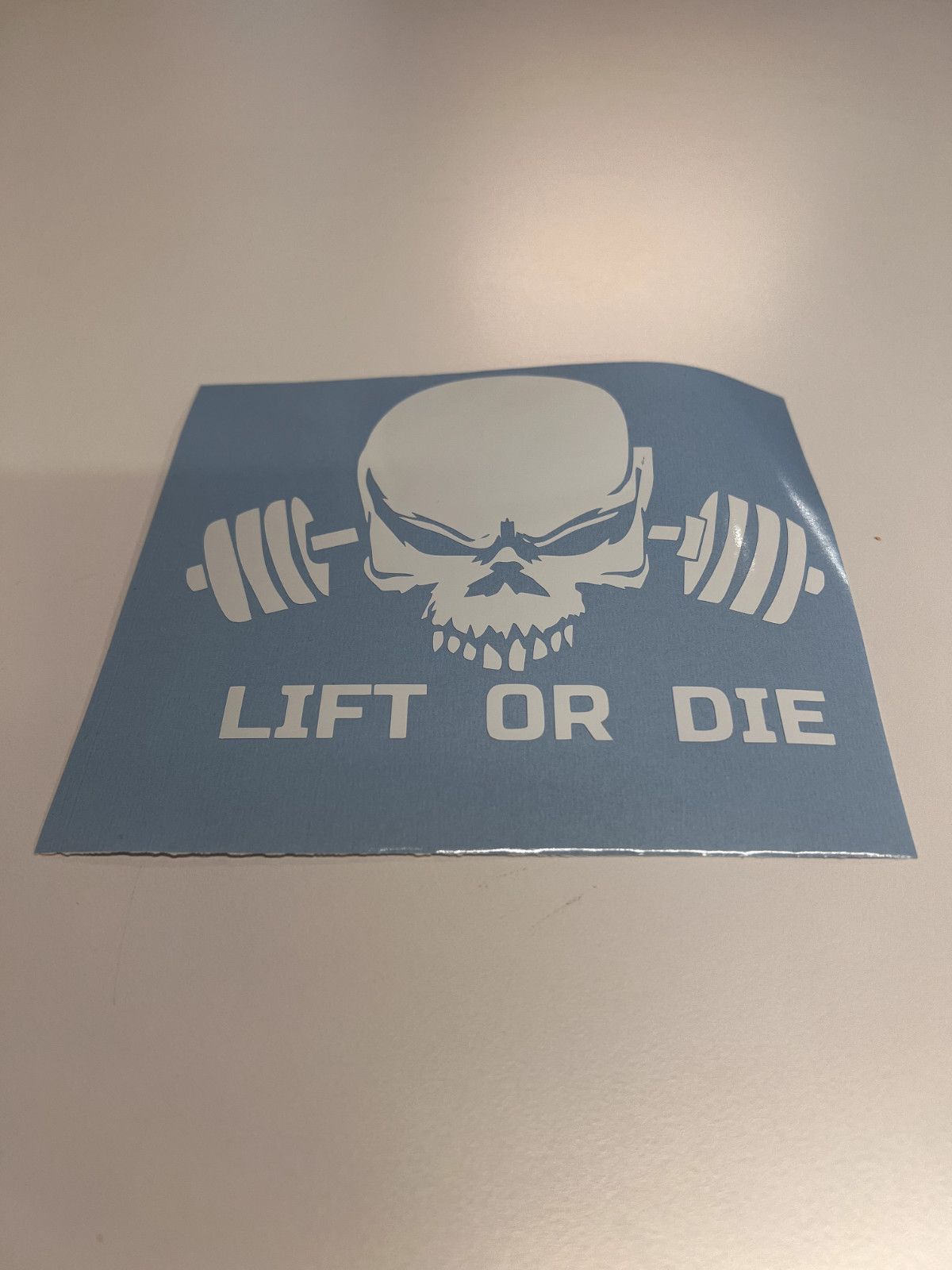 Vinyl Decal Sticker Waterproof Car Window Laptop Wall Graphic LIFT OR DIE