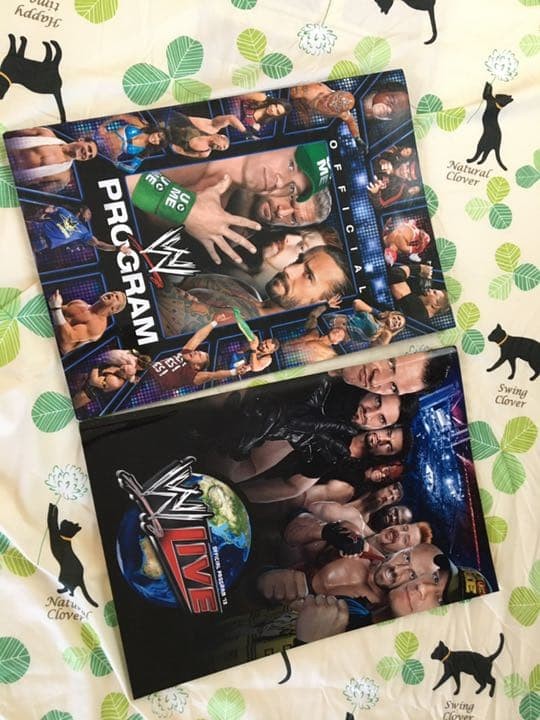 WWE Pamphlet Set