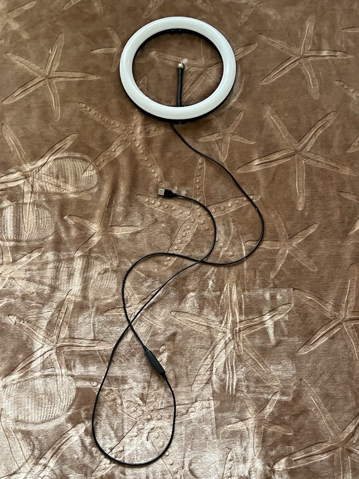 LED Ring Light Photo Studio USB-Powered Portable White Light