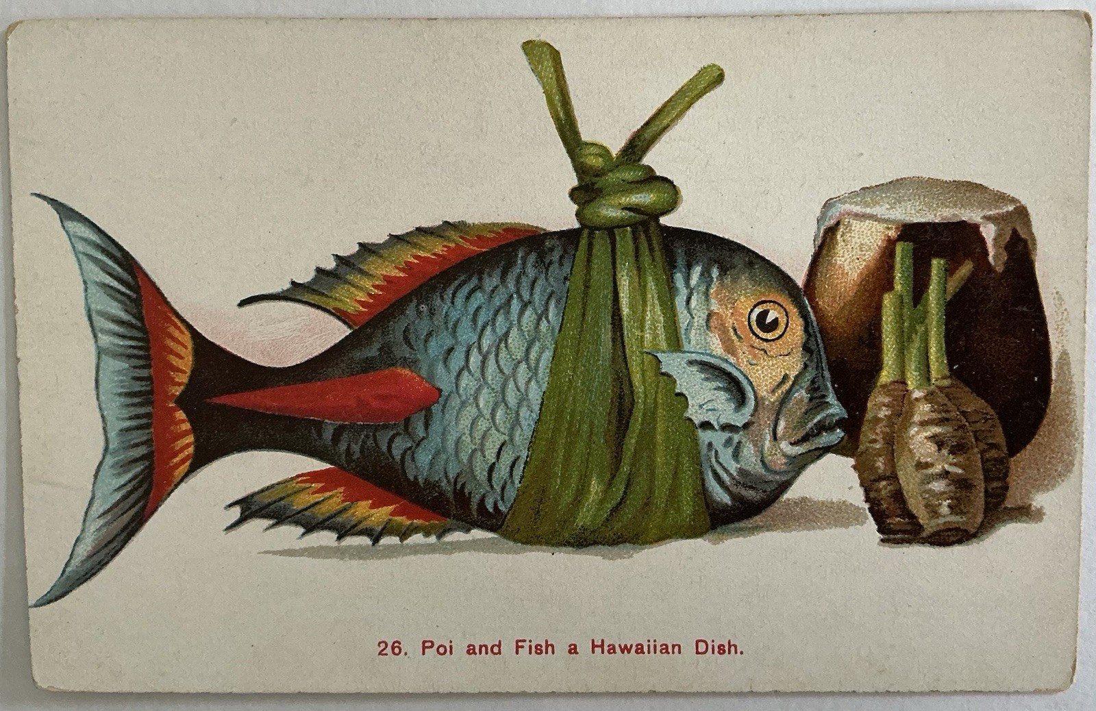 Hawaiian Poi And Fish A Hawaiian Dish Vintage Postcard