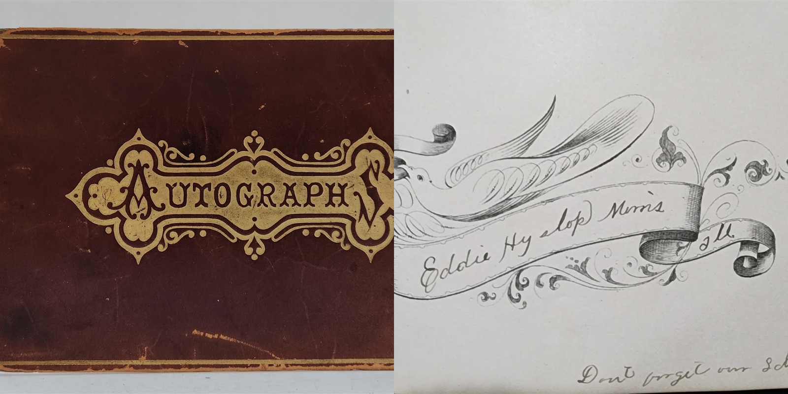 1885 antique AUTOGRAPH ALBUM morris il PERRY A. JOHNSON spencerian art genealogy