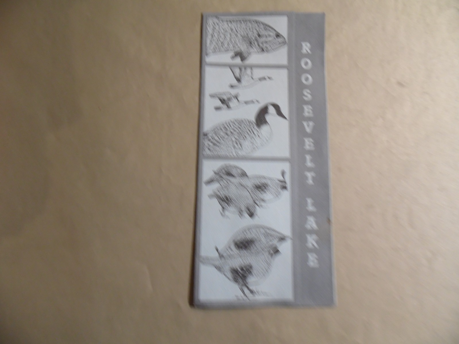 Roosevelt Lake Arizona Pamphlet / Free Domestic Shipping