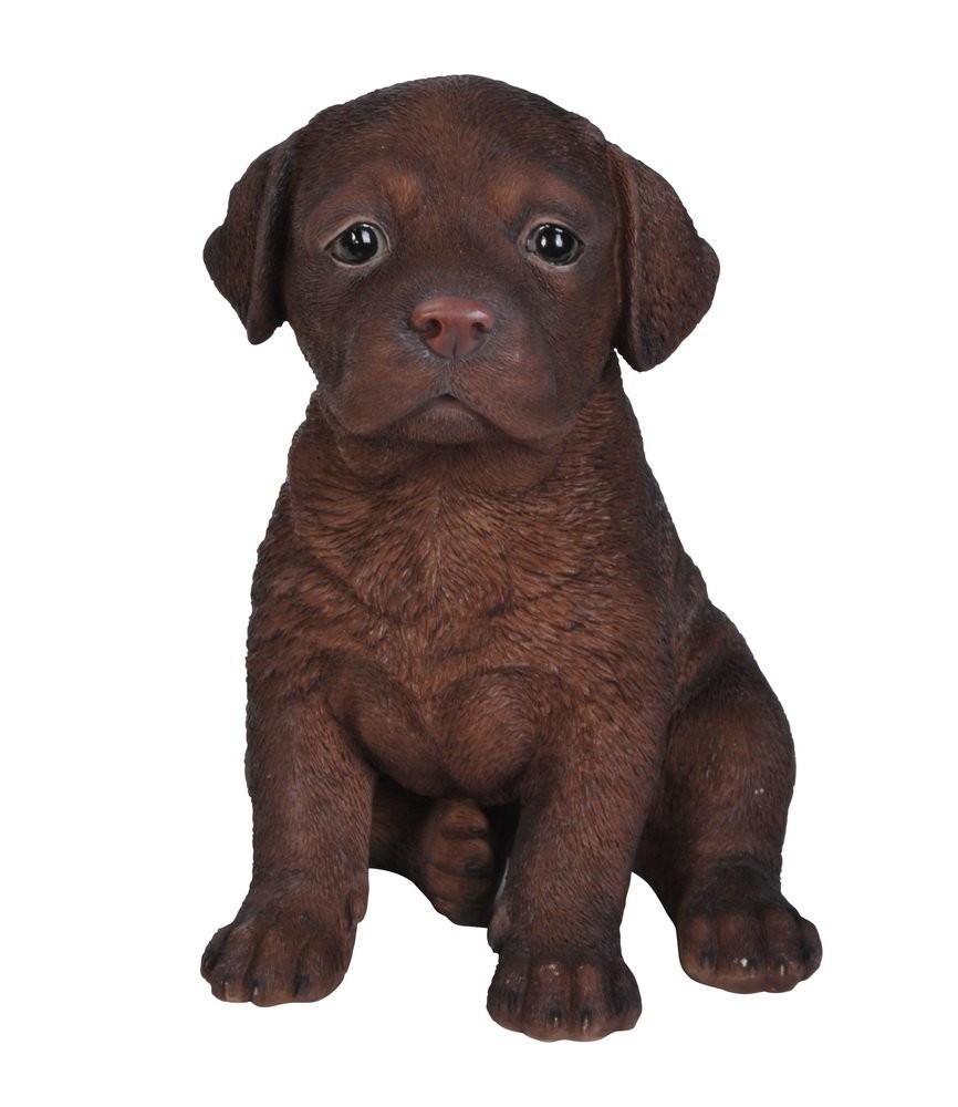 Hi-Line Gift Ltd Chocolate Lab Puppy Statue - Indoor/Outdoor Decor