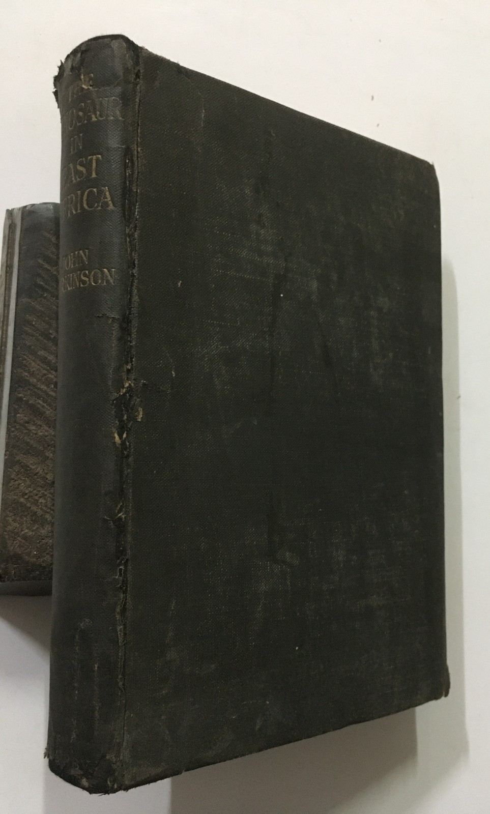 Parkinson, John: Dinosaur In East Africa. Account Of Giant Reptile Beds. 1930