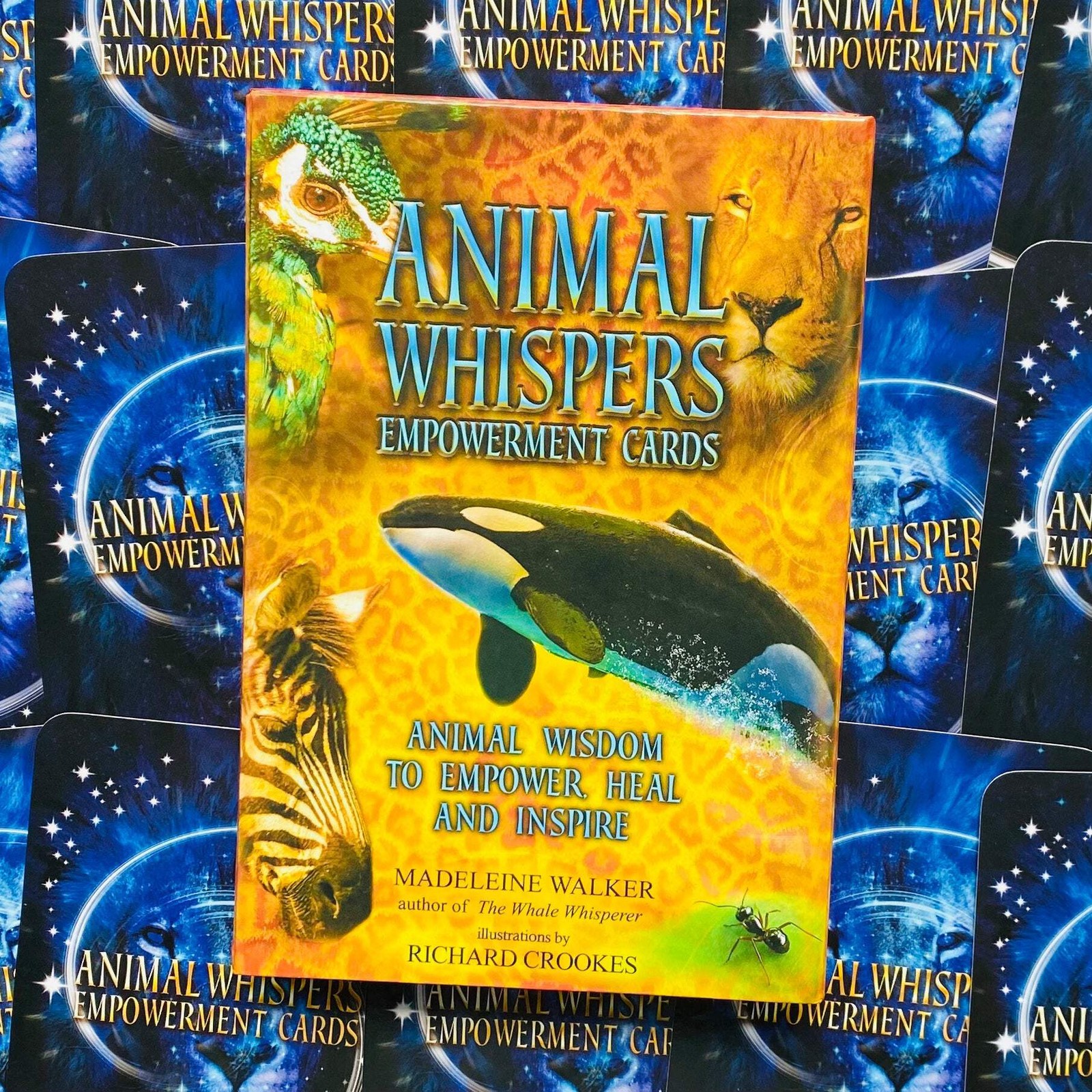 Animal Whispering Empowerment Cards Deck Esotericism Madeleine Walker Findhorn F