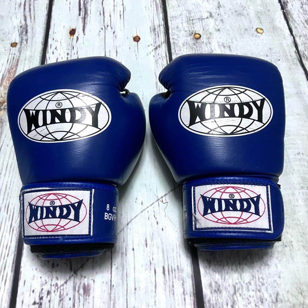 WINDY Boxing Gloves 8 oz Durable Design Training Sparring Equipment