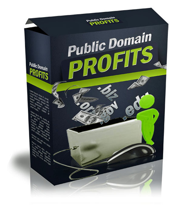 The Lazy Internet Marketer's Way To Riches - PUBLIC DOMAIN PROFITS - Succeed (CD