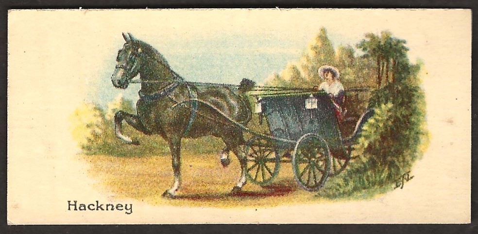 1930 Hackney Horse Card V14 Cowan's Chocolate Cocoa Horses #7 Trading Card Cowan