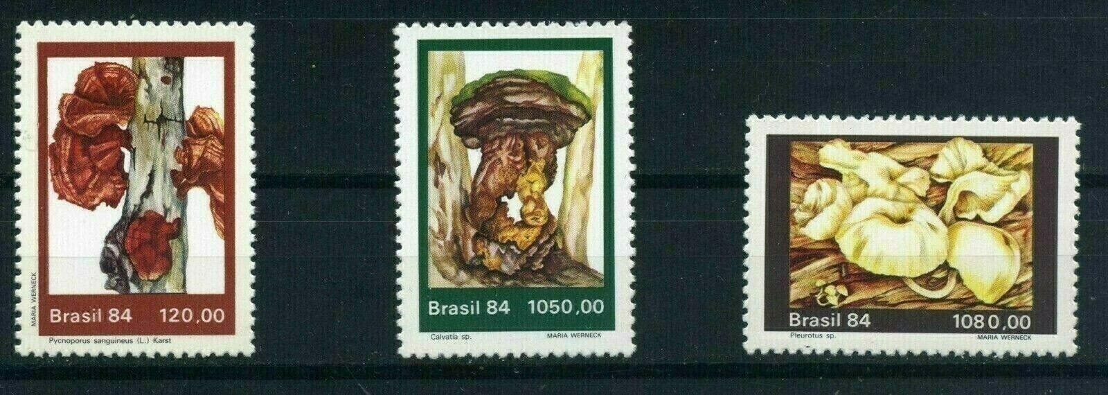Brazil Sc 1955-1957 Mushroom Stamps  MNH