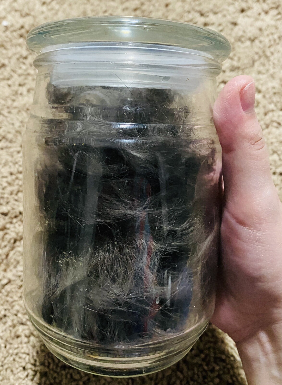 Black Cat Fur ( Deluxe )