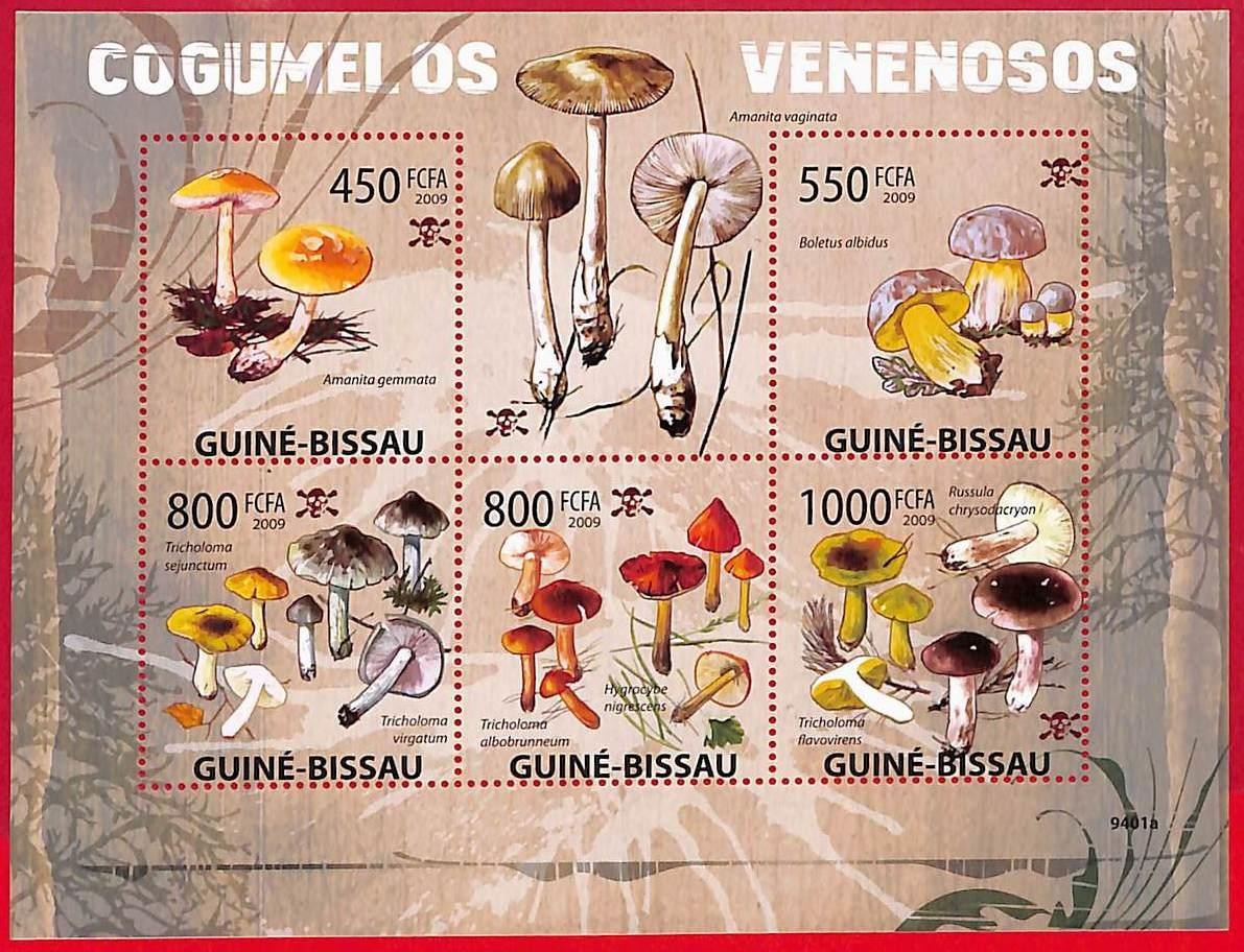 A5204 - GUINE-BISSAU - Stamp Sheet - 2009 - Mushrooms