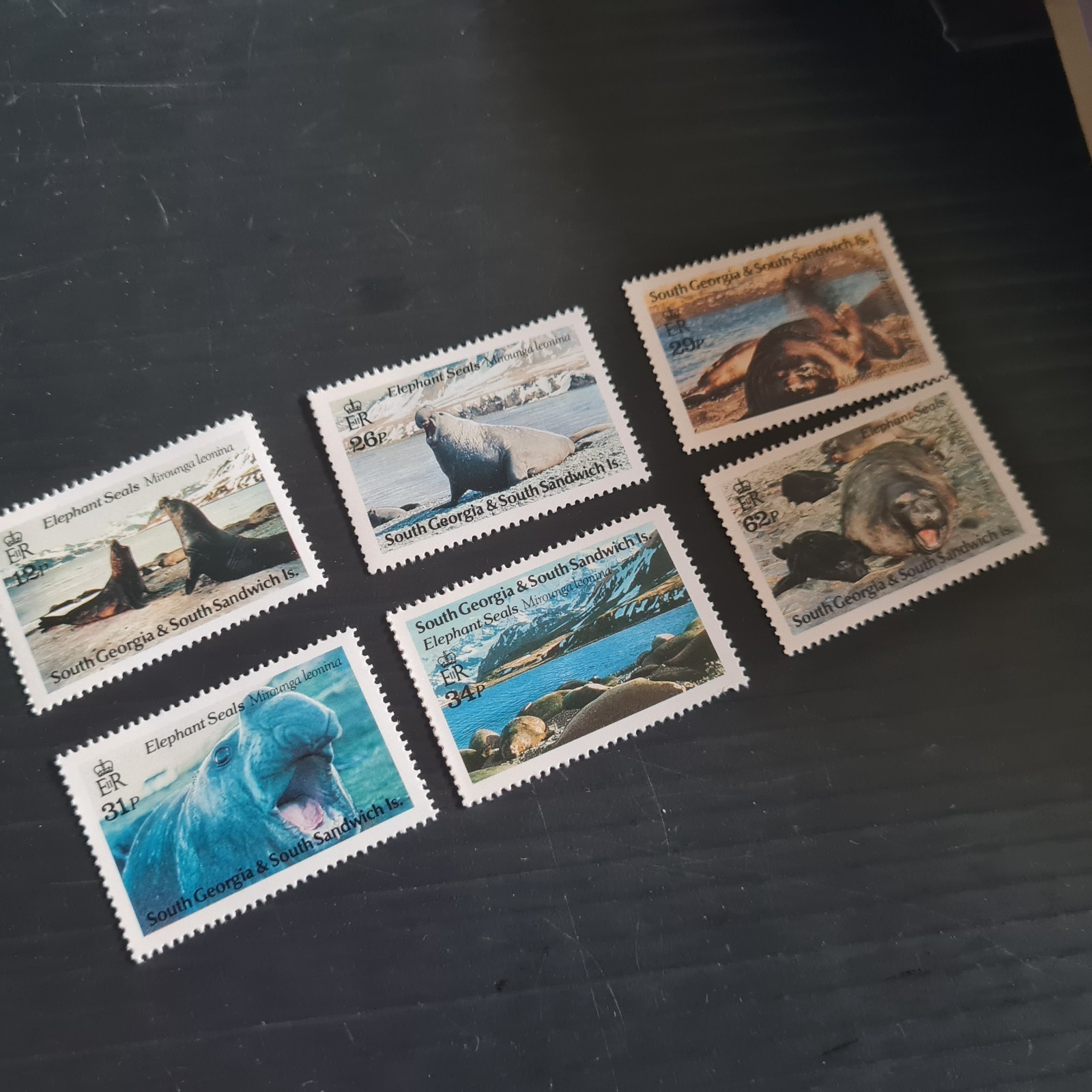 SOUTH GEORGIA 1991 SG 203-208 ELEPHANT SEALS MNH