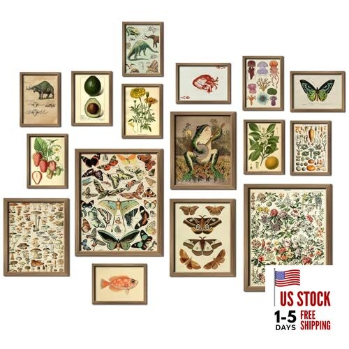 16 PCS Framed Vintage Wall Art Decor, Botanical Cottagecore 12"x15" Framed Drab