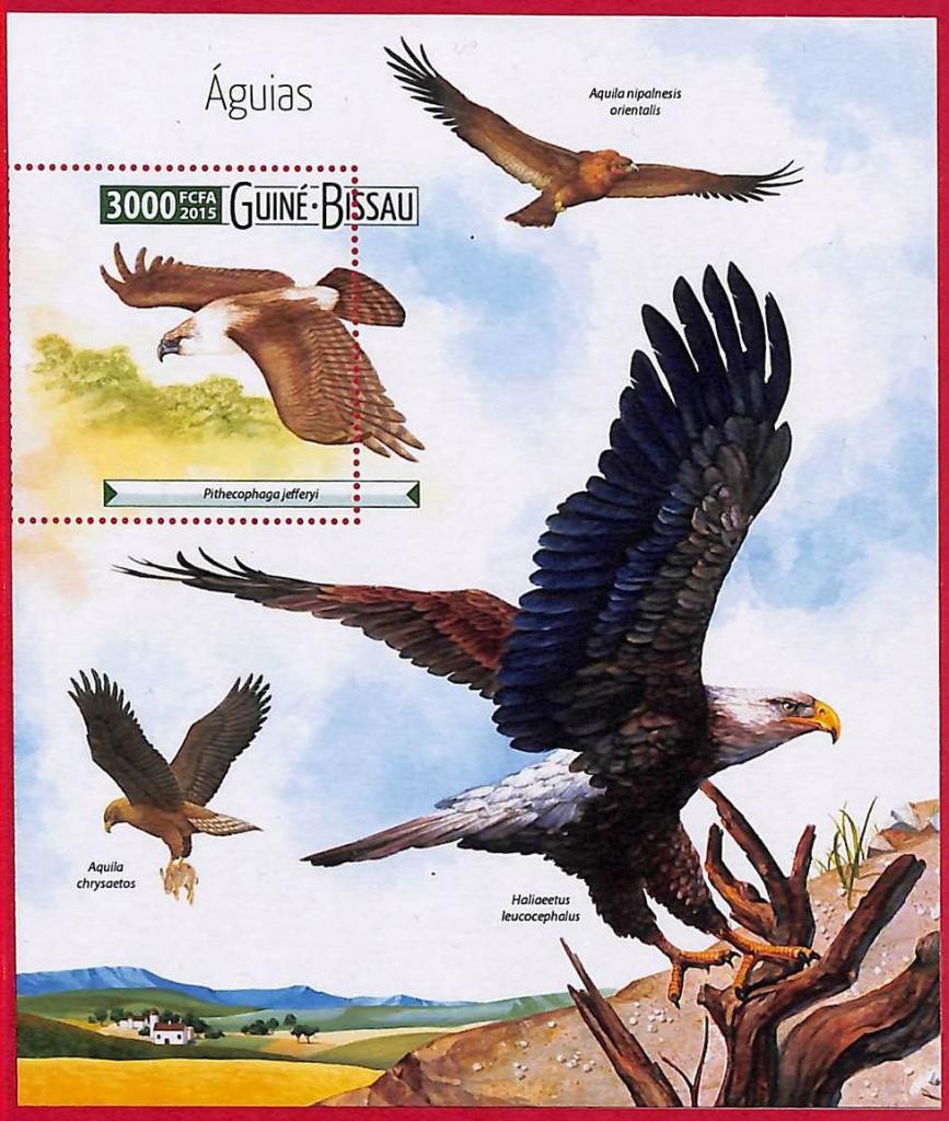 A5191 - GUINE-BISSAU - ERROR MISPERF Stamp Sheet - 2015 - Birds EAGLES