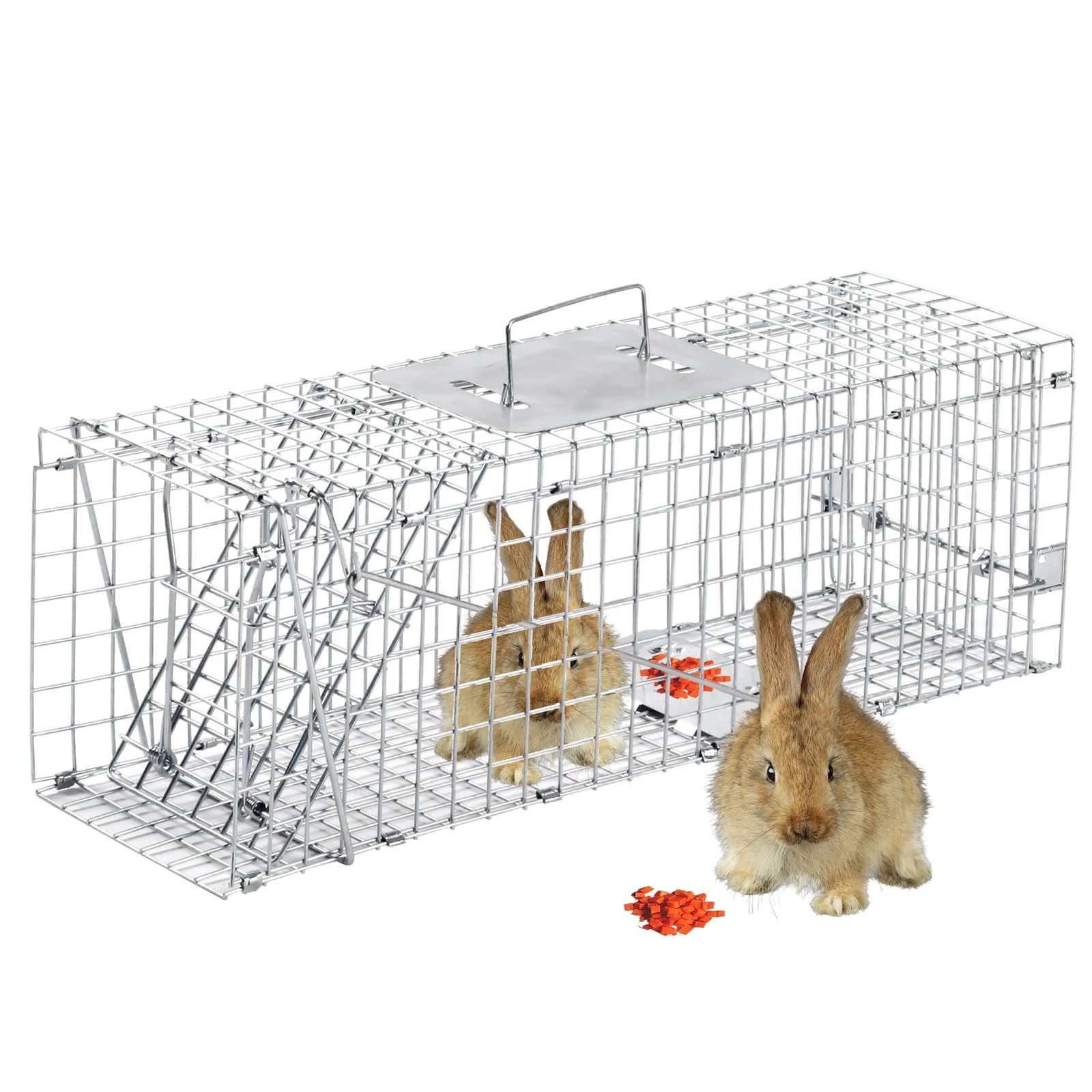 Animal Traps,Live Animal Trap for Cats,Rabbits, Squirrels,cat Trap for Stray ...