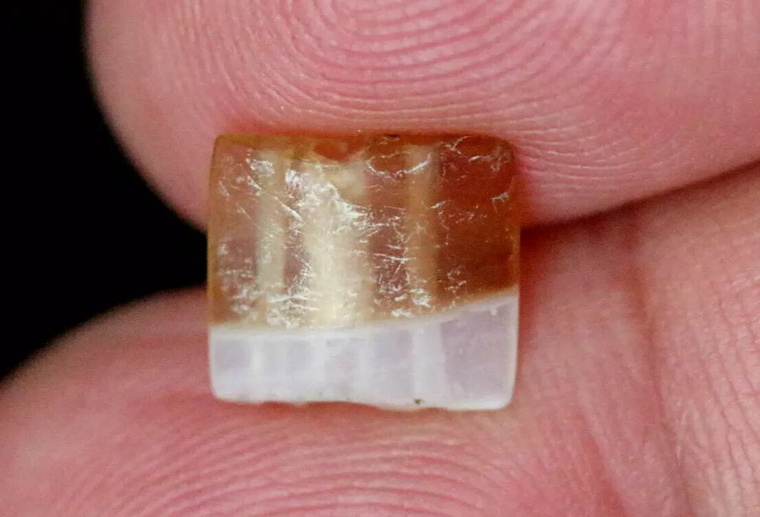 Rare Ancient Tibetan Carnelian Banded Flat Dzi Bead 3 Holes Unique 10mm #A512