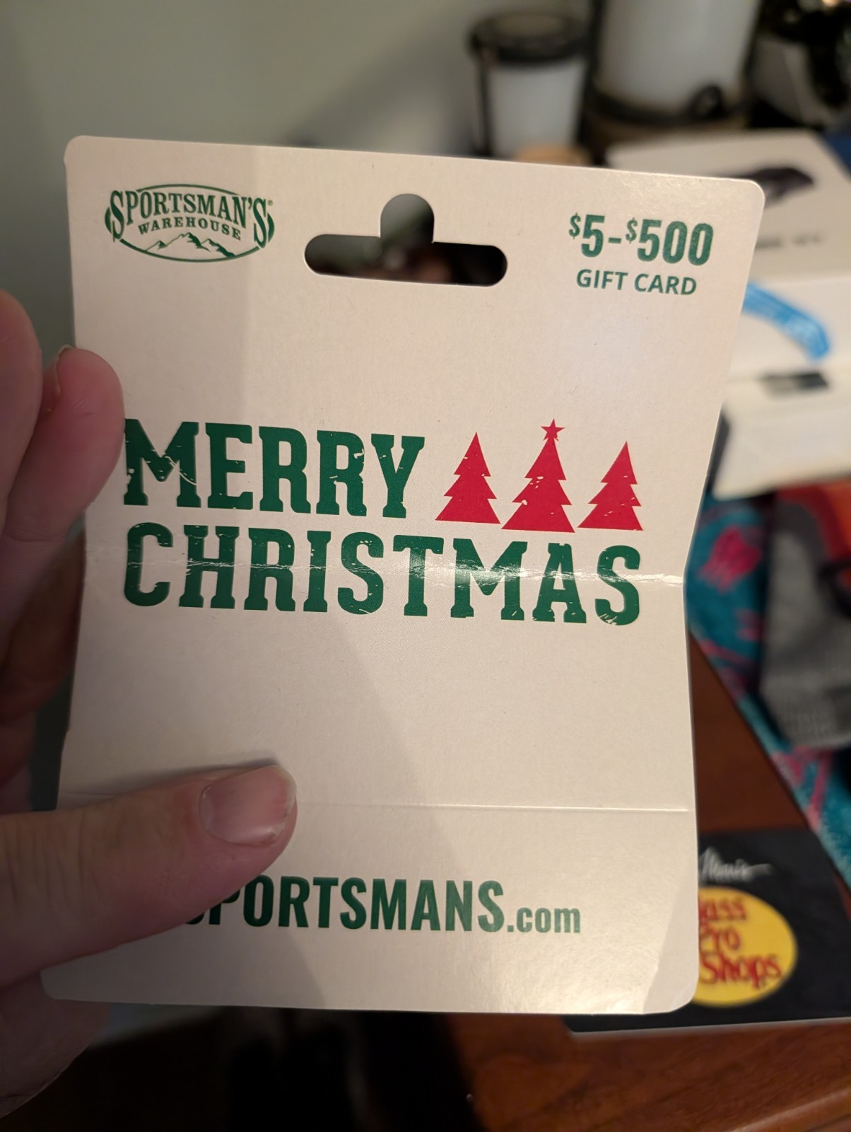 SPORTSMAN'S WAREHOUSE * $300.00  DOLLAR GIFT CARD * FOR  $280.00 DOLLAR'S