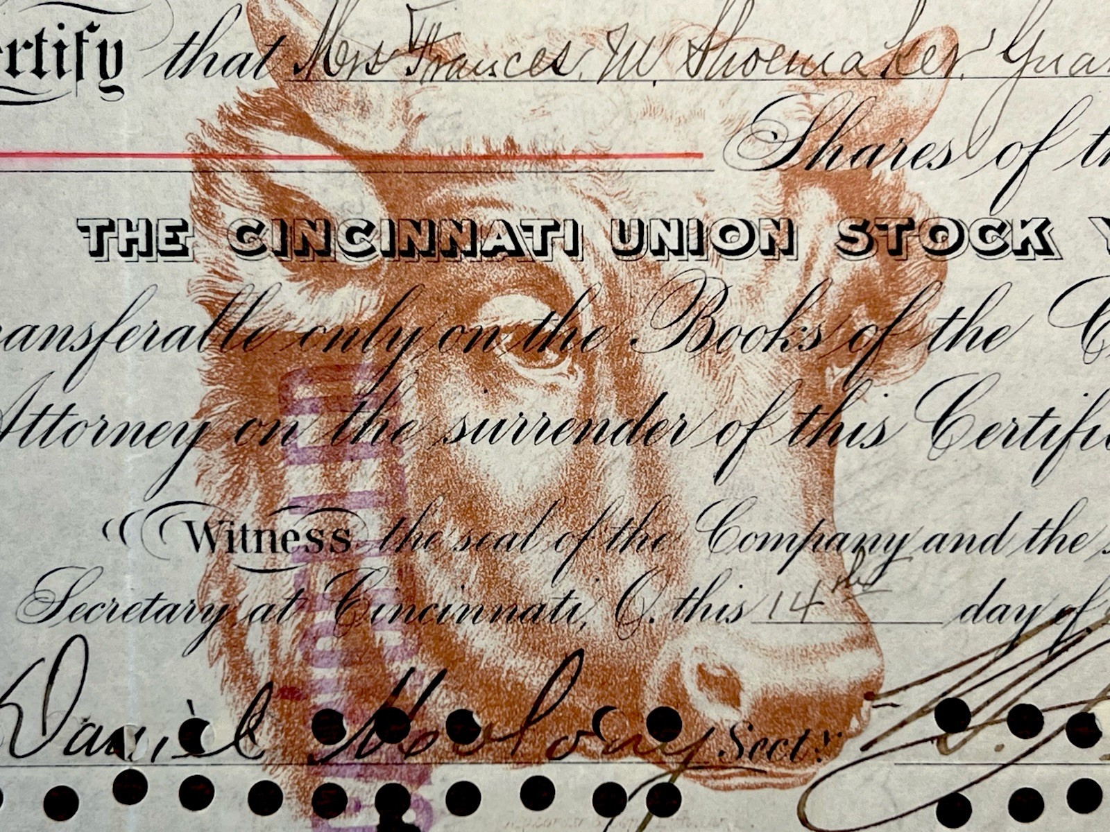 1895 CINCINNATI UNION STOCK YARD CO STOCK CERTIFICATE 🚂 Railroad Livestock 🐄