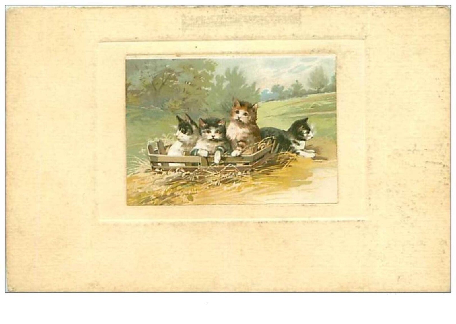 Cats No. 54 Four Cats In The Middle Of A Field