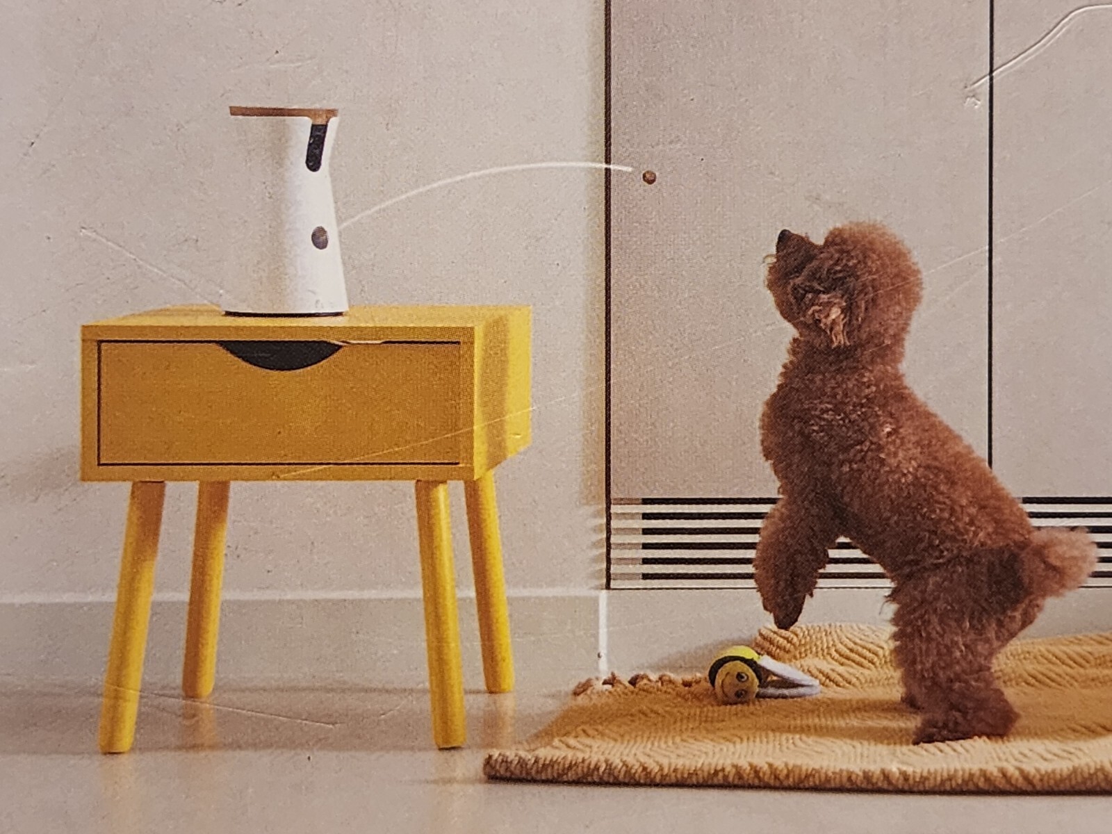 Furbo Dog Camera Wi-Fi Pet 1080p HD Interactive Treat Tossing Bark Alert Furbo2T