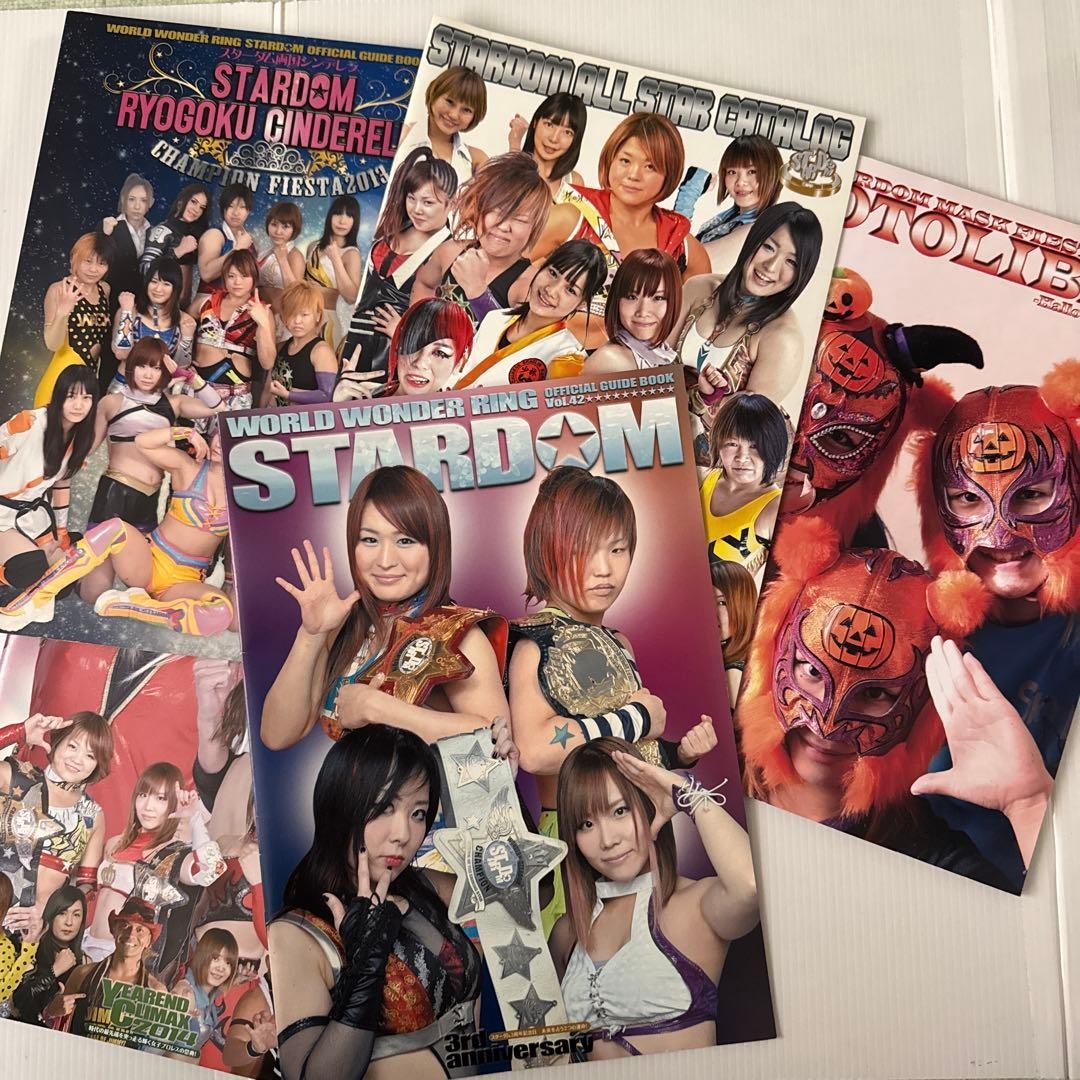 Rare Stardom Pamphlet Set (KAIRI SANE IYO SKY WWE) 2014 set of 5