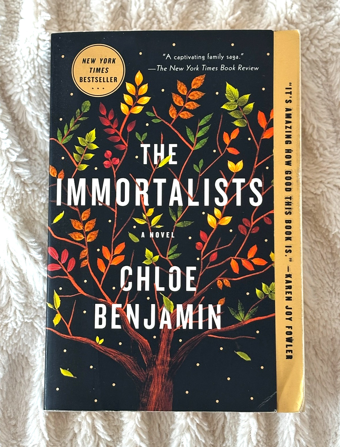 The Immortalists A Novel by Chloe Benjamin 2018 Paperback NY Times Bestseller