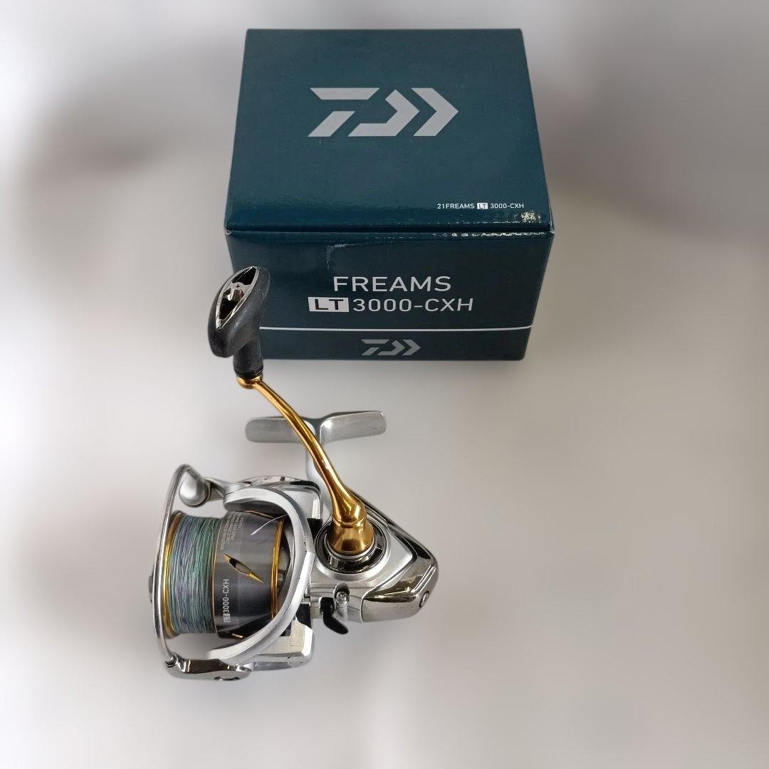 Daiwa 21 Freems LT 3000-CXH