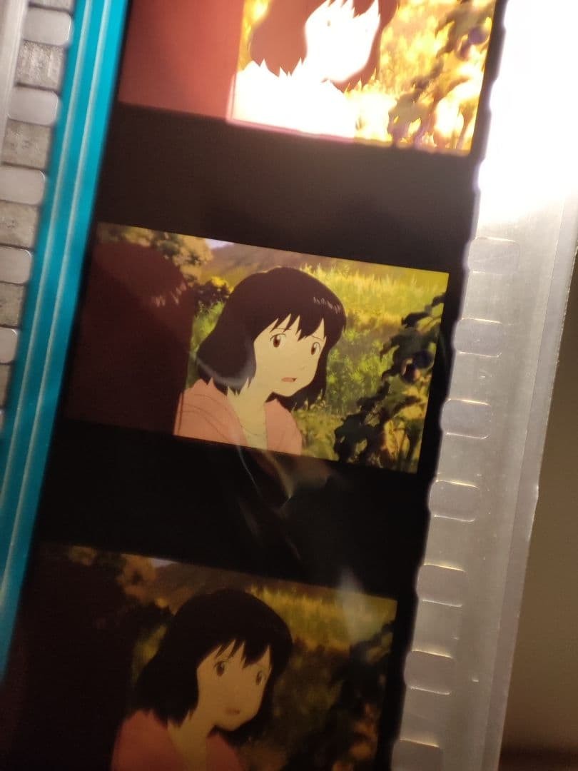 [Rare] Film Wolf Children Ame and Yuki