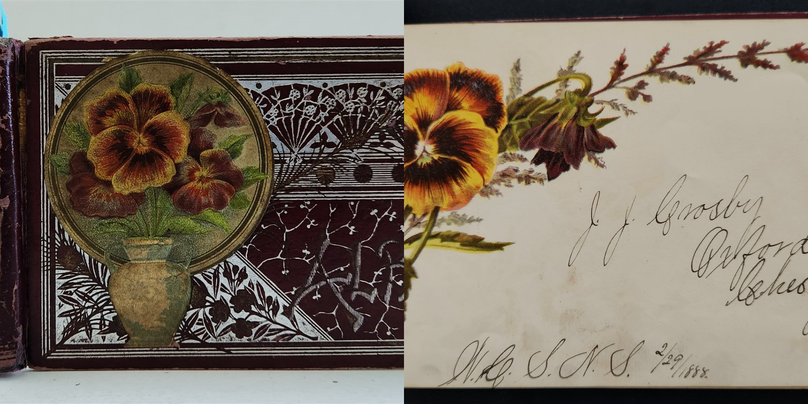 1885 antique AUTOGRAPH ALBUM west chester pa HARRY FISHER floral ada oh school