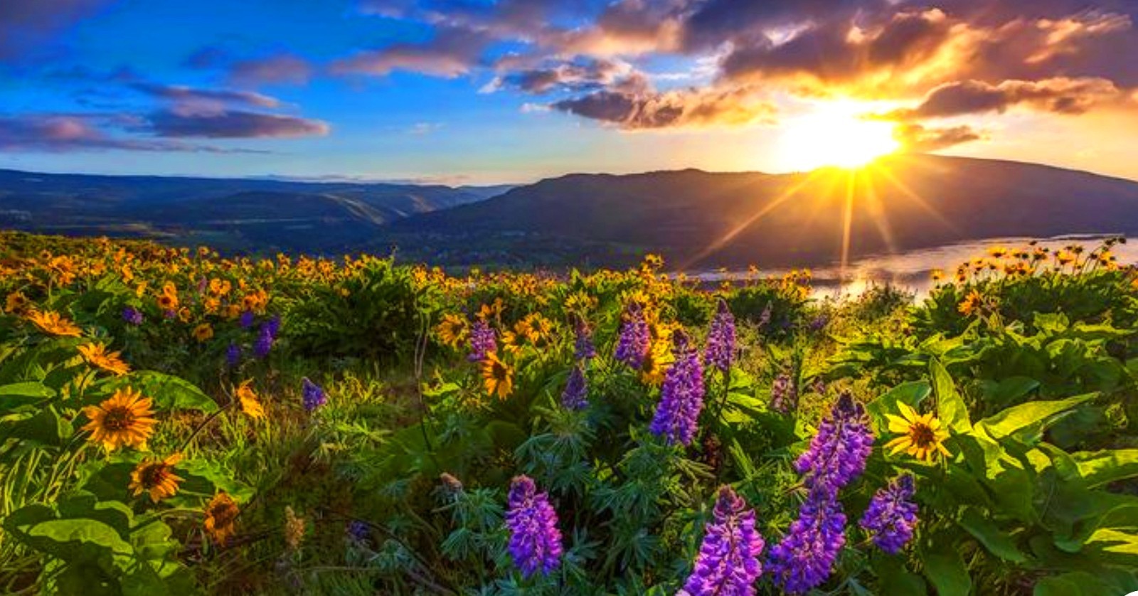 🏜️ INVEST IN THE PATH OF PROGRESS | 10,890 SQ FT | KERN COUNTY, CA 🏜️