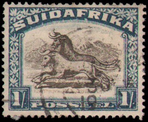 South Africa #43b Used