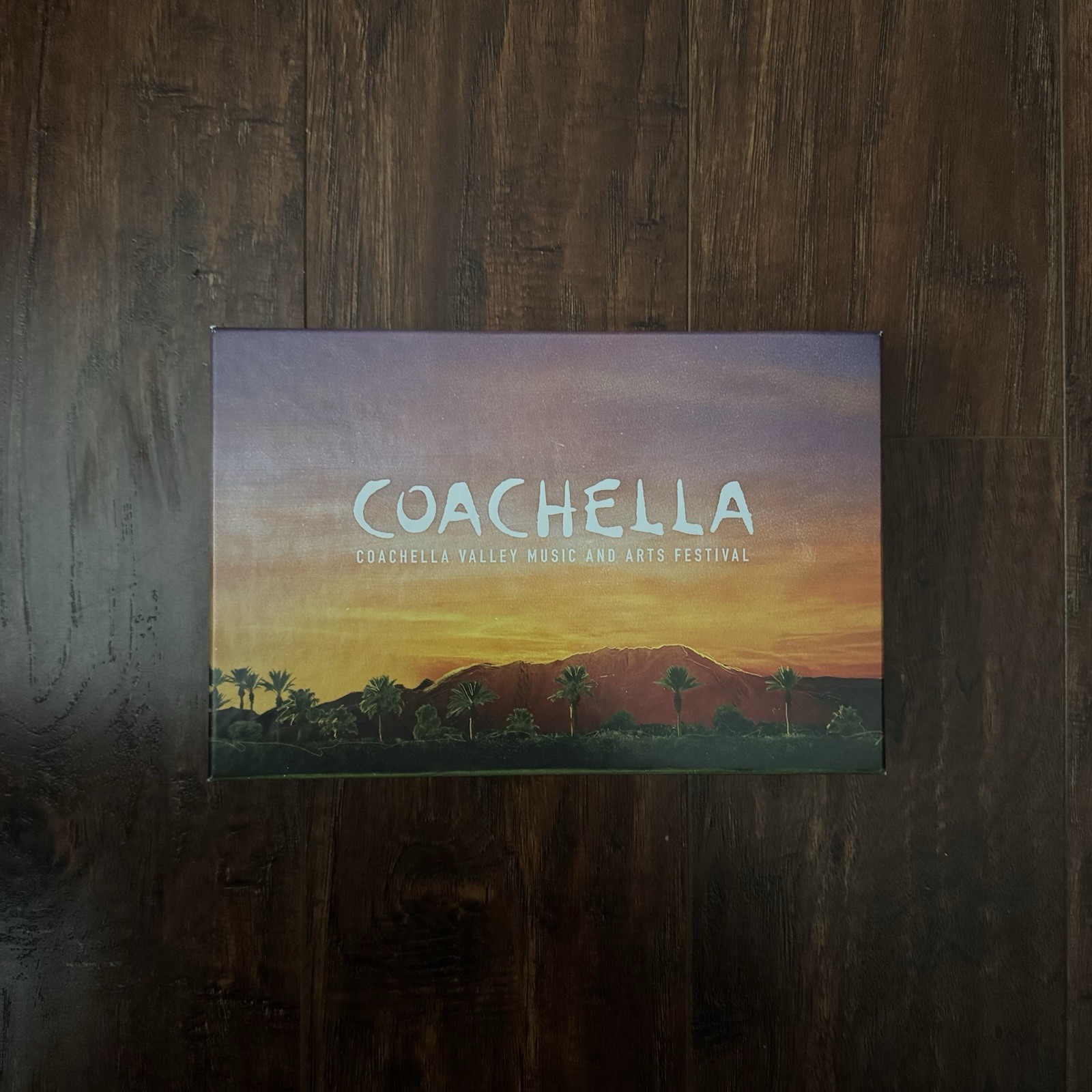 [FULL] Coachella 2025 Music Festival Swag Box – Diorama + Photo Frame + Stickers