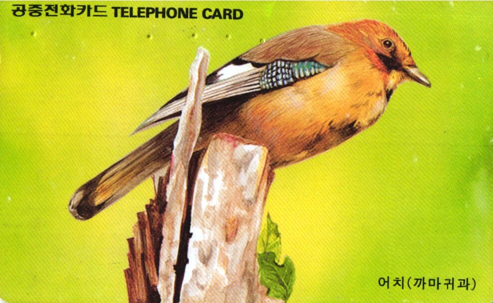 916 Phonecard Used South Korea Bird Jay