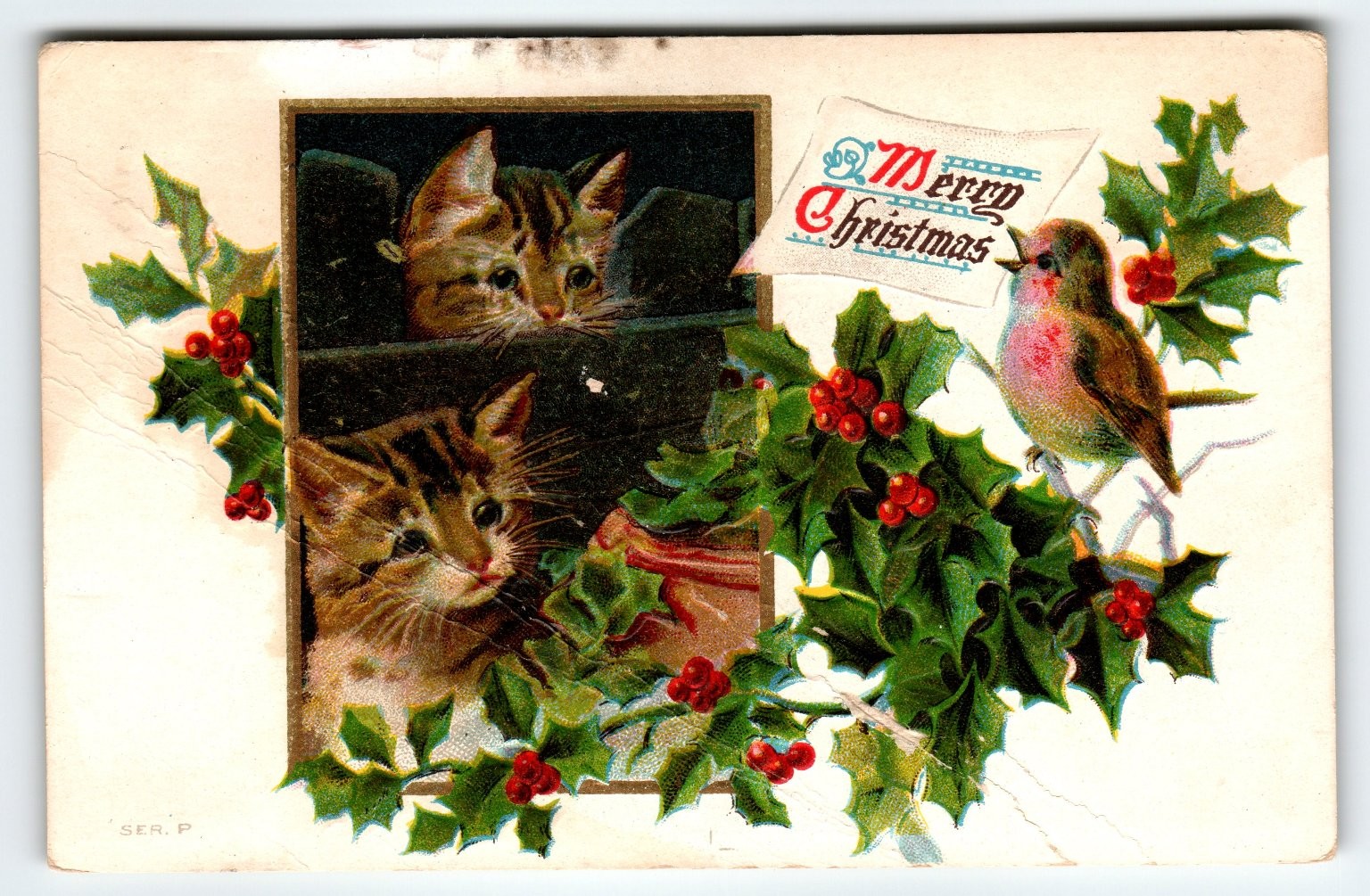 Vintage Antique Christmas Postcard Cats Robin Holly 1910s Holiday