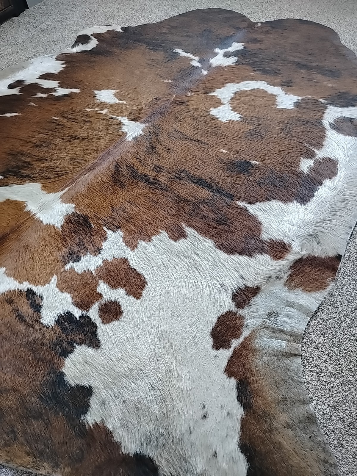 EBAY CONSULTING, 20 YEARS OF WORLD WIDE EXPERIENCE. POWER SELLER. 99% RATING.