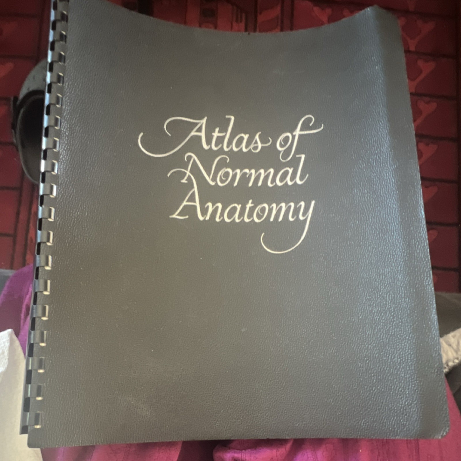 Vintage  Lederle Laboratories Atlas of Normal Anatomy Medical Reference1956