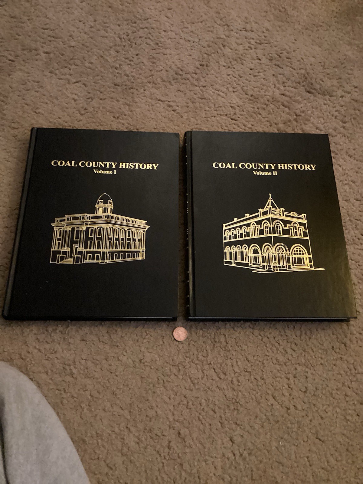 Vintage State History COAL COUNTY Oklahoma HISTORY Vol 1 & 2 Genealogy 2009