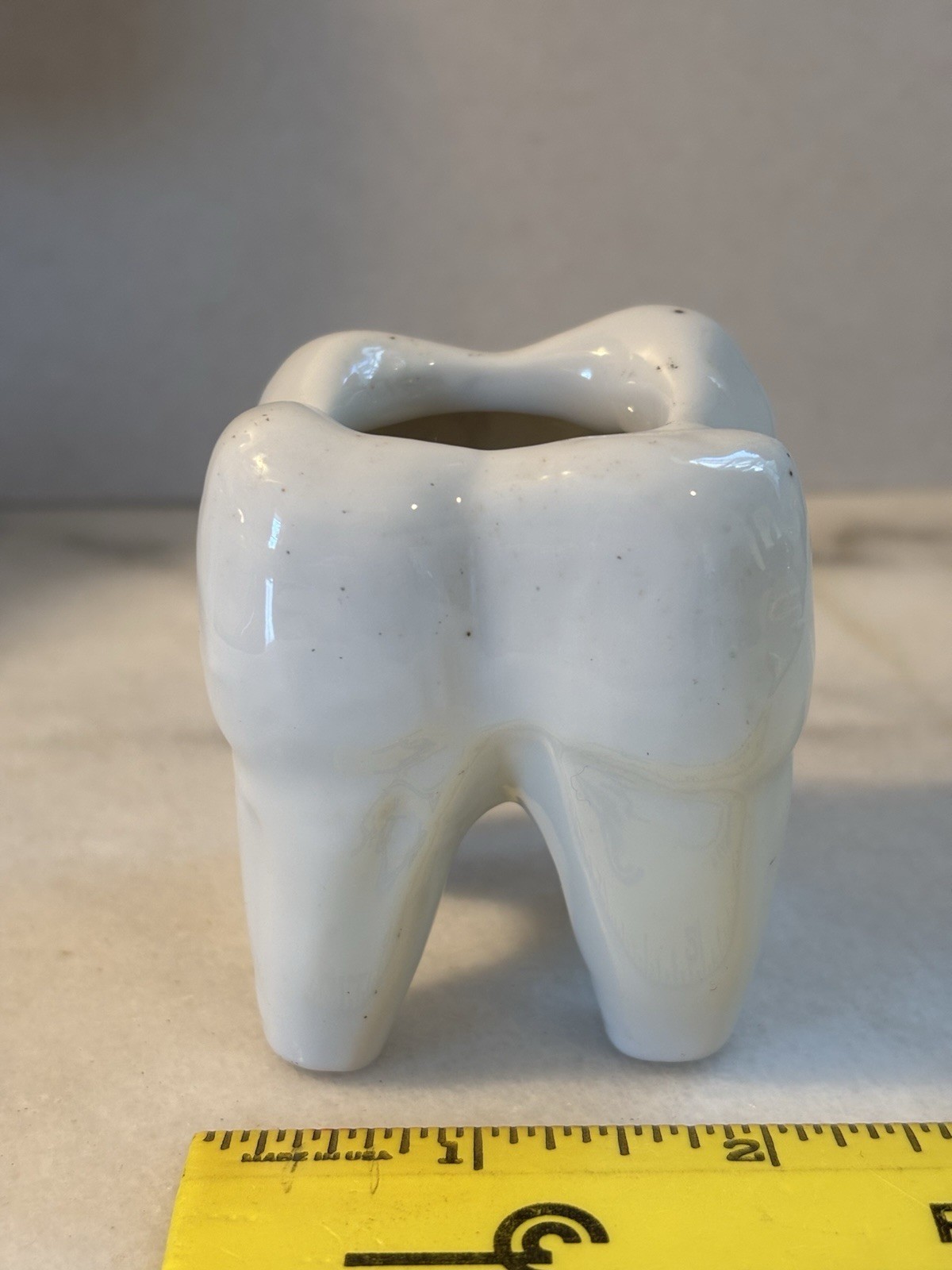 Tooth Planter Pen Holder Molar Ceramic Oddity Figural Dentist Hygienist (M)