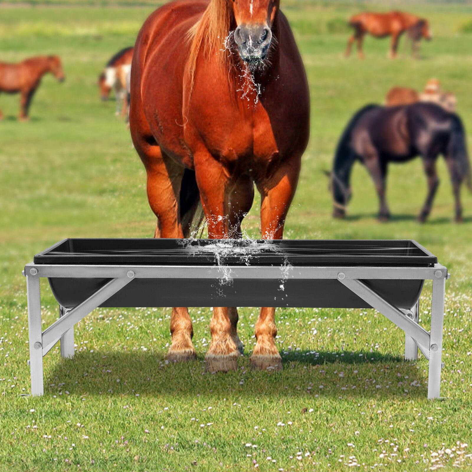 40.5" Livestock Feeding Trough 9.25 Gallon Pasture Hay Feeder Floor Standing