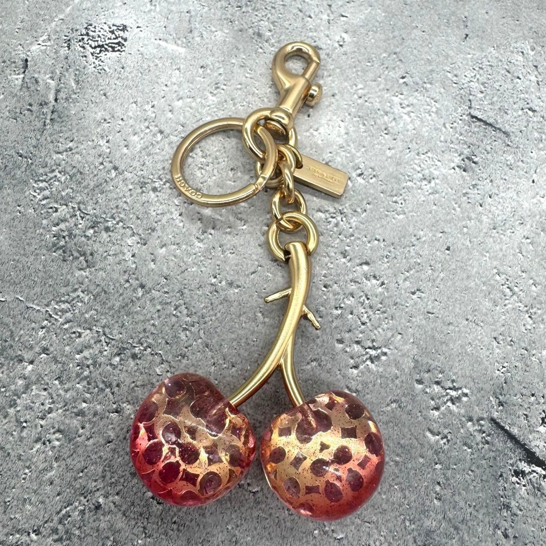COACH Cherry Bag Charm Key Holder Key Ring
