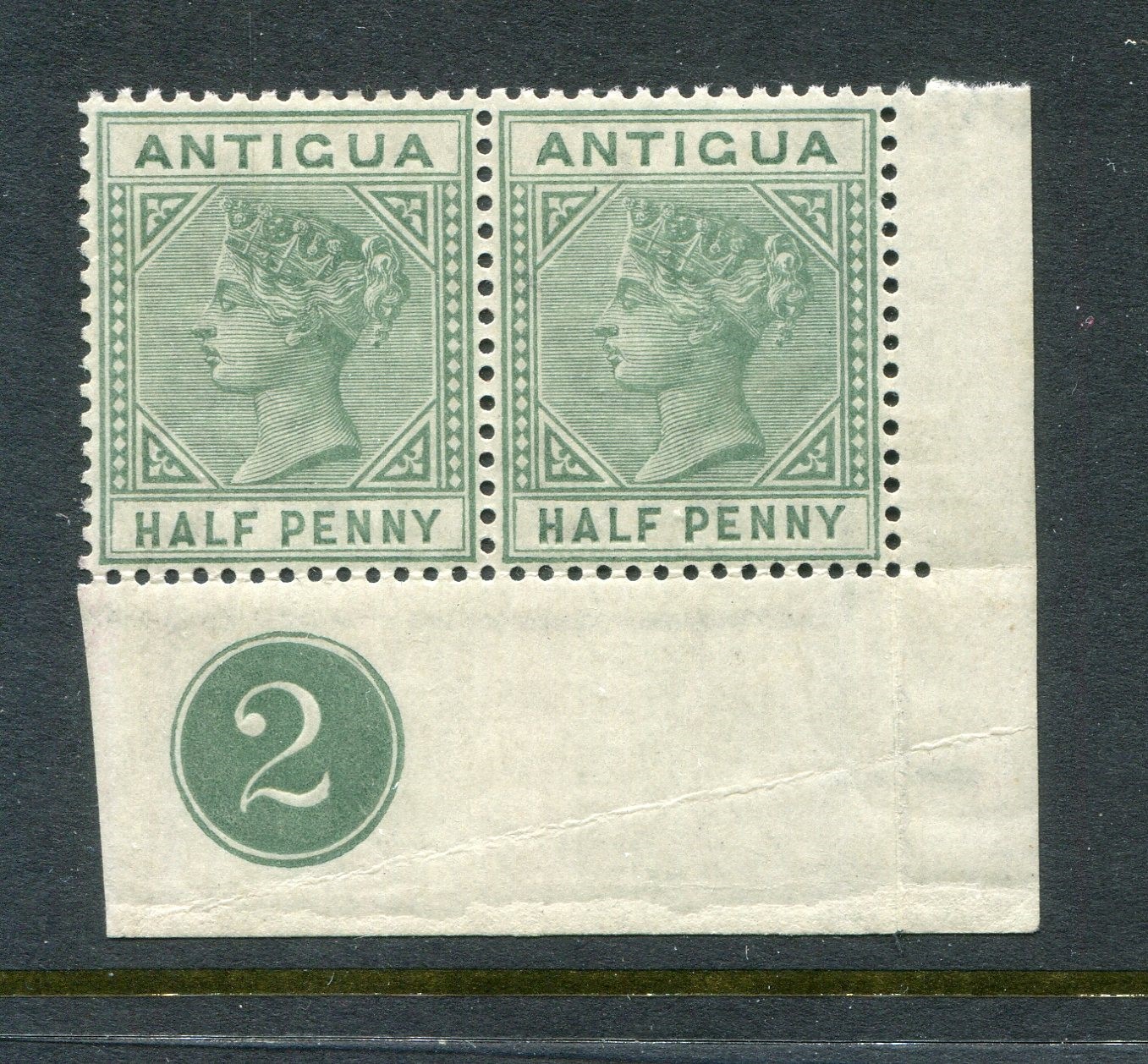 Antigua #12 Pair Victoria 1/2 P. [Mint Lightly Hinged]