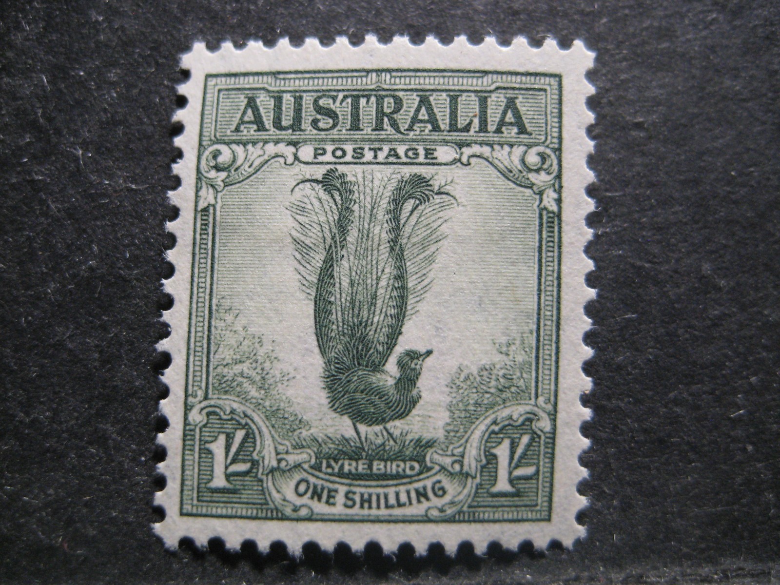 Australia #175a Mint Hinged- WDWPhilatelic (N9X)  (3/26)2