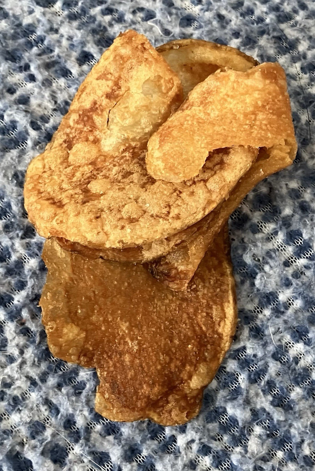 “Chip Clip” Novelty, functional art piece featuring a real potato chip